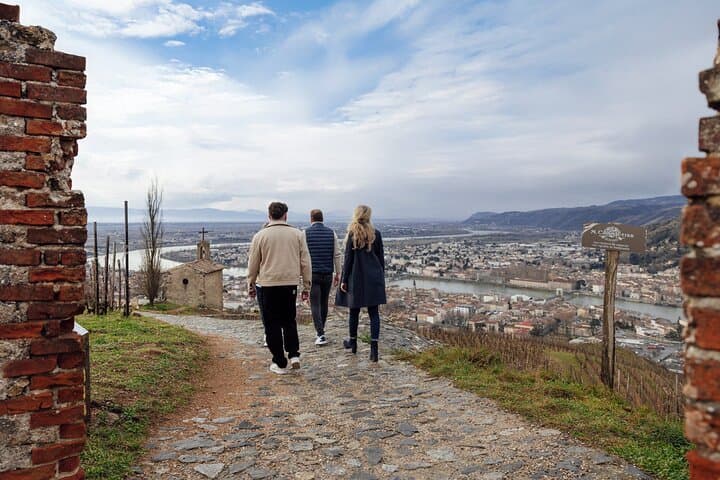 Rhone Valley view