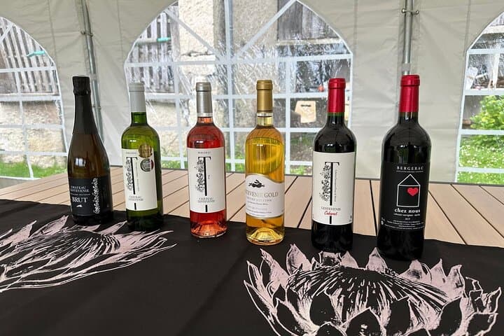 Wine Tasting at Chateau Lestevenie