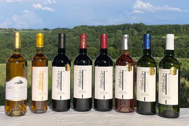 Wine Tasting at Chateau Lestevenie