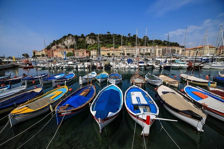 Nice, Eze, or St-Paul and Monte Carlo Private/Semi-Private Tour