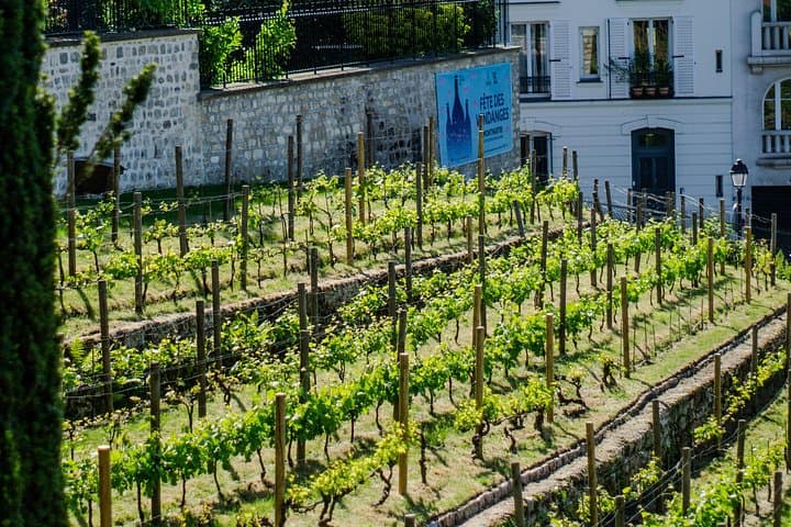Clos Montmatre