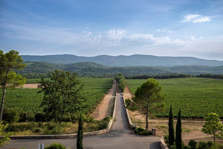 Private Saint-Tropez Peninsula Wine Tour