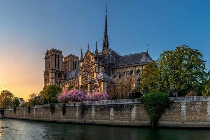 Ile de la Cité Guided Tour, Cruise and Notre Dame with Audioguide