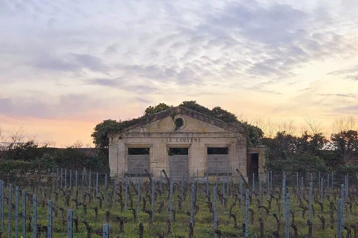 Pilgrims and Wine: A Self-Guided Tour of Saint Émilion’s Secrets