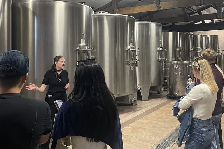 Saint-Emilion Pomerol Wine Tour Green Bordeaux