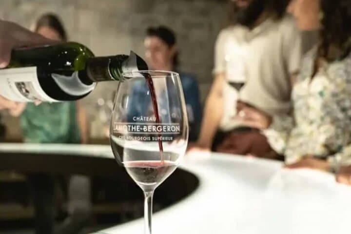 Bordeaux to Saint Émilion Wine Full Day Trip with Tastings