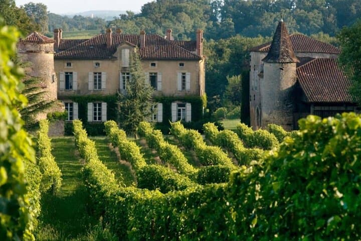 Bordeaux to Saint Émilion Wine Full Day Trip with Tastings
