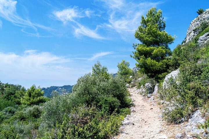 3 Hours Private Tour of Eze Villefranche Sur Mer