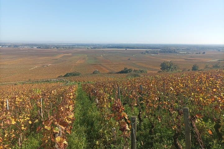 Private Tour in Beaune with Official Tour Guide