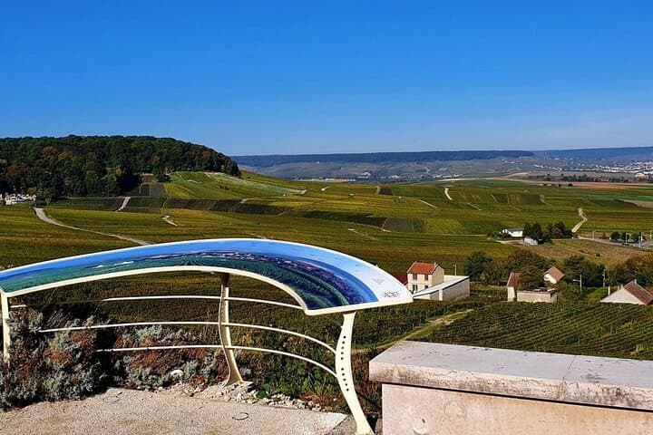 1 Day Private getaway in Champagne Van VIP from Paris