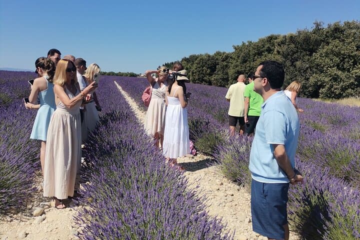 Private Driver in Provence