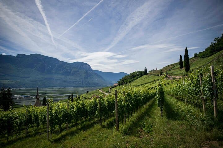 Reims Champagne Tour: Tastings and Vineyard Stroll (Private)