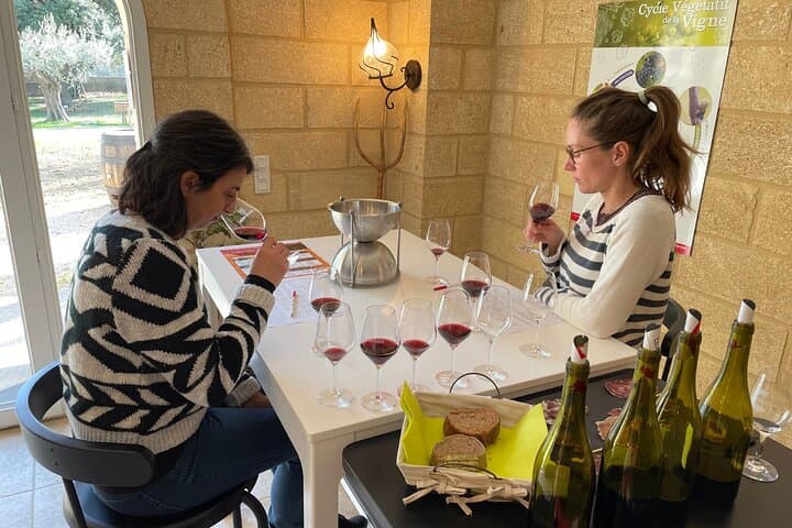 Wine blending activity between Avignon and Nîmes