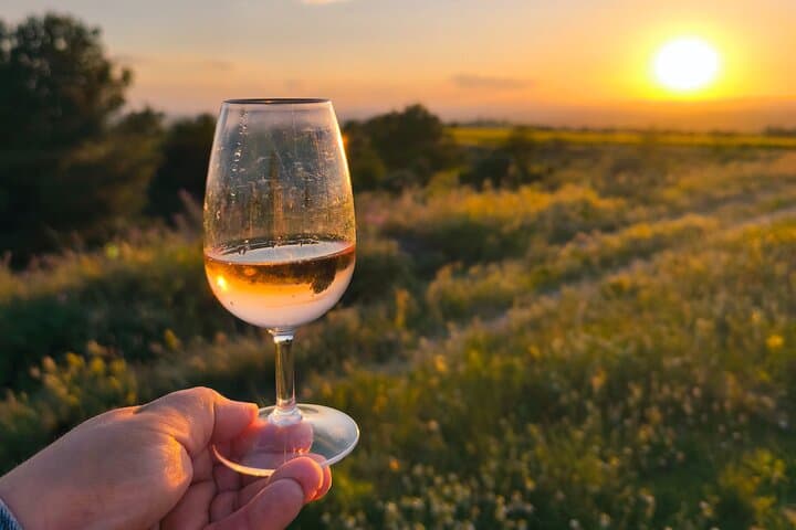 Golden Hour at the Domain