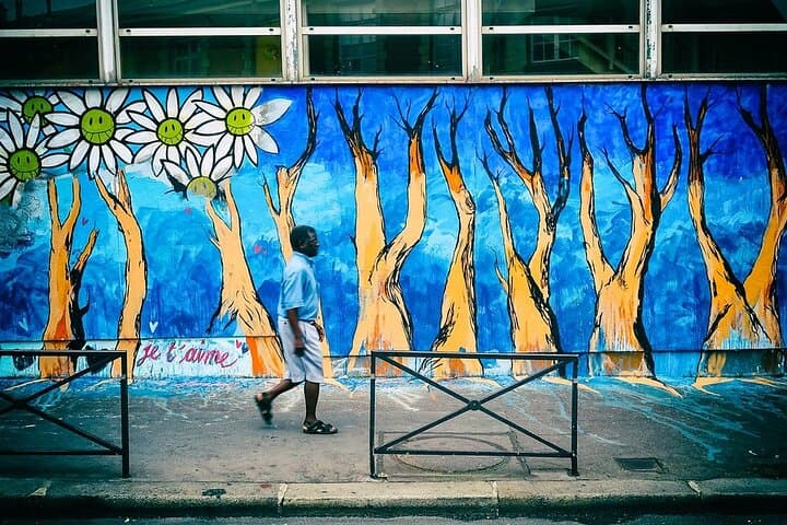 Private Guided Street Art Walking Tour in Paris