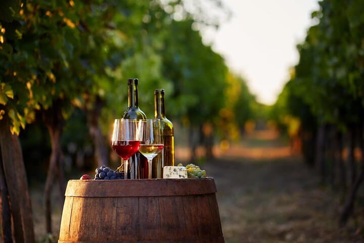 Private and taylor made wine tour in Bordeaux