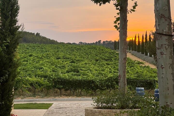 Wine