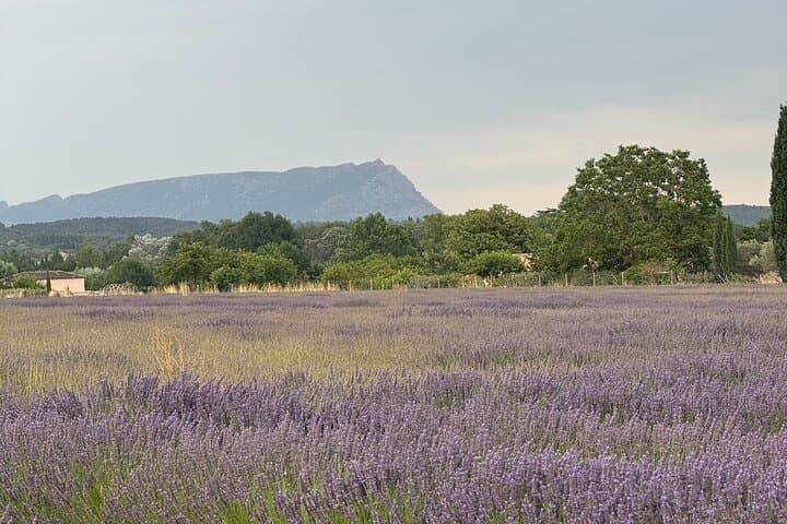Countryside