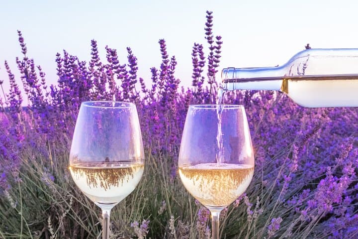 Marseille Shore Excursion : private Aix visit and wine tasting