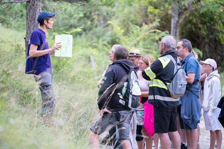 Observation DE local wildlife, vultures and beavers, in the heart of the Vercors massif.