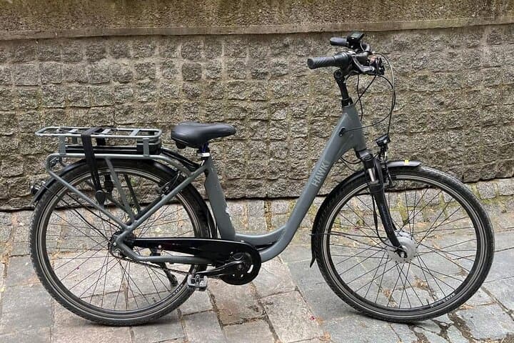 Paris E Bike Rental in Le Marais City Center