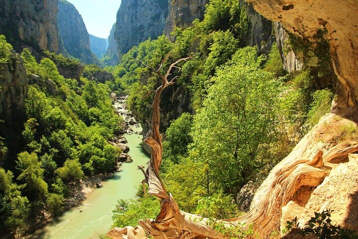 Lavender Fields and Verdon Gorge Private Tour from Nice