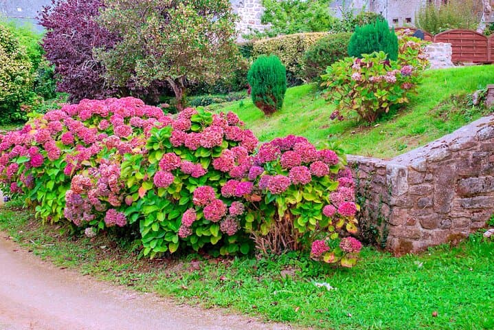 Giverny Monet House Private Day Tour From Paris