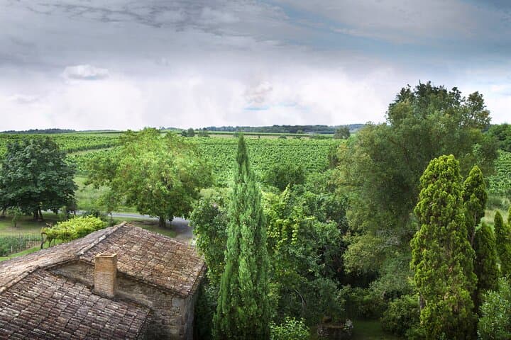 From Bordeaux: Saint‑Émilion Wine & Village Day Trip