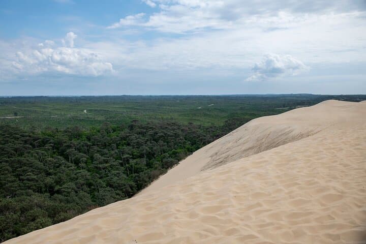 From Bordeaux Arcachon Bay and Dune du Pilat Day Trip