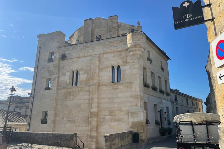 From Bordeaux Half day in Saint-Émilion: Village + Castle