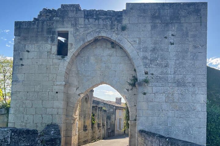 From Bordeaux Half day in Saint-Émilion: Village + Castle