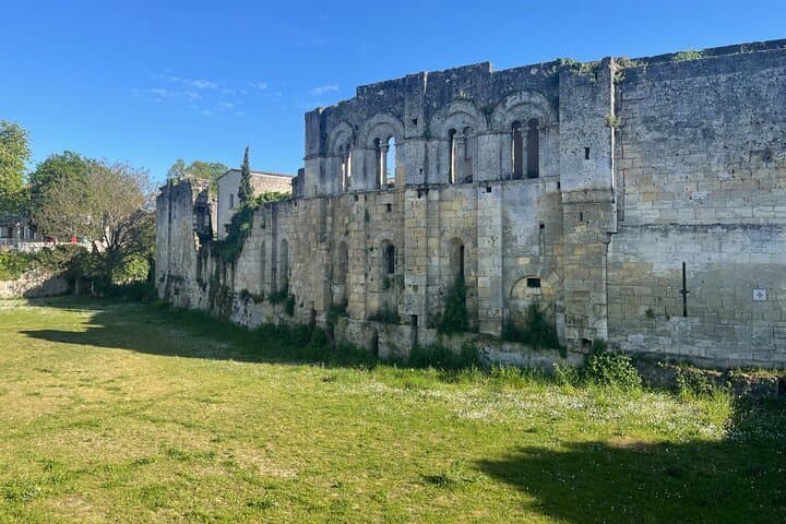 From Bordeaux Half day in Saint-Émilion: Village + Castle