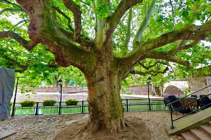 Self-Guided Secrets Tour - Explore Strasbourg & Miss Nothing