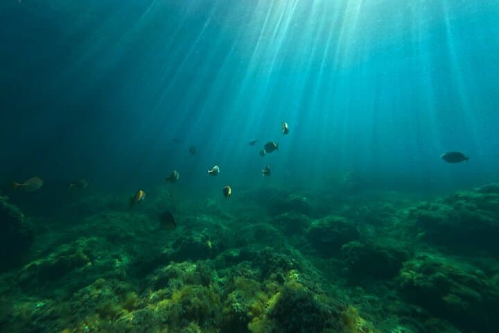 Observe a school DE multicolored fish with mask and snorkel and dive into underwater life in Port d’Alon.