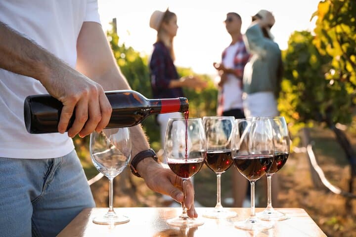 Wine Tour Médoc the castle road, visits and tastes