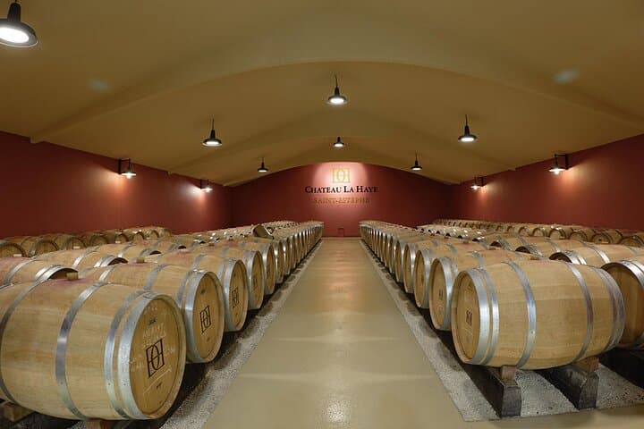 Wine Tour Médoc the castle road, visits and tastes