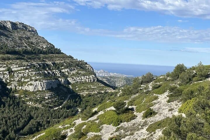 Cassis & Cap Canaille Private Coastal Tour from Marseille