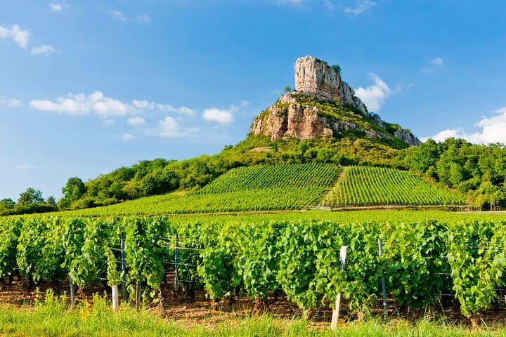 Burgundy Private Shore Tour from Dijon Cruise Port