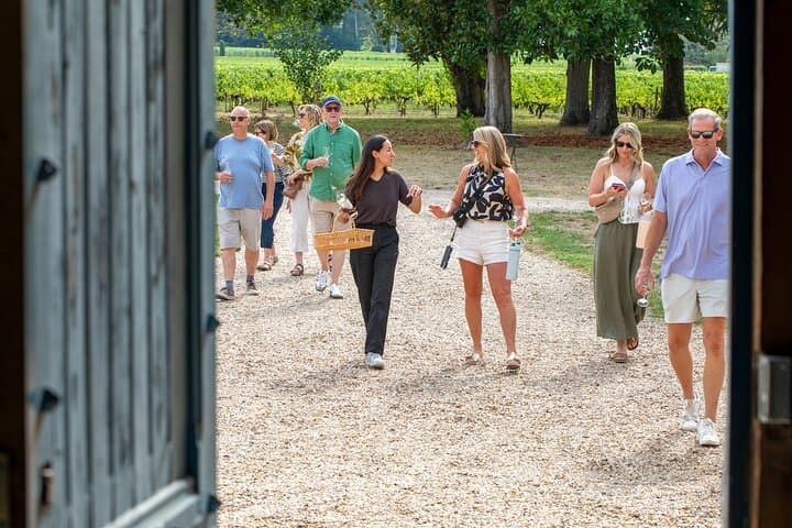 Full Day Tour Saint Emilion with lunch two Chateaux and Village