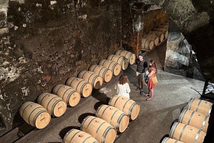 Bordeaux: Château Visit, Underground Cellars & Wine Tasting