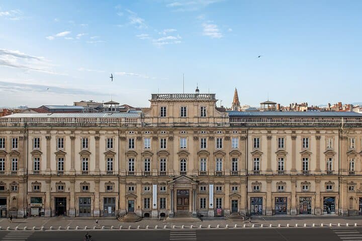 Lyon Museum of Fine Arts Ticket and Audio Guide
