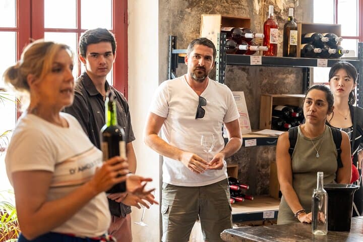 Half-Day Wine tour across Bordeaux’s Vineyards