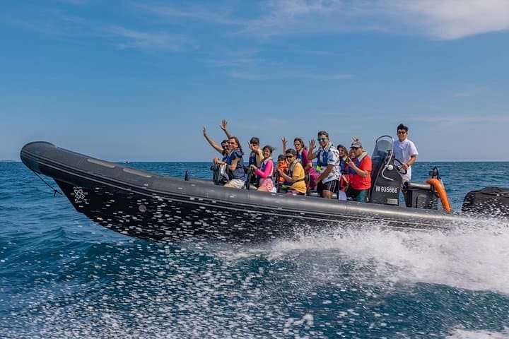 Nice in Monaco: the coast, Mala Cave & speedboat swimming