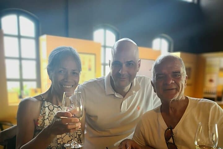 From Bordeaux: Saint‑Émilion Wine & Village Day Trip