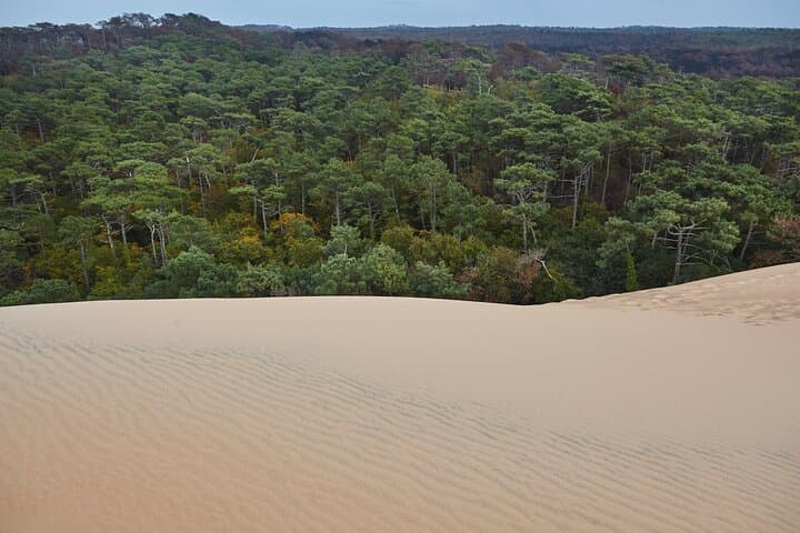 From Bordeaux Arcachon Bay and Dune du Pilat Day Trip