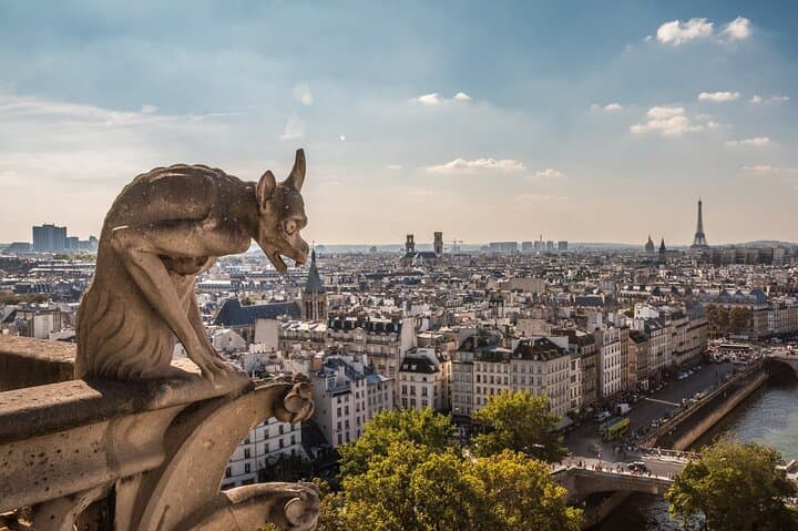 Notre Dame de Paris: Semi Private or Private Guided Tour Guide
