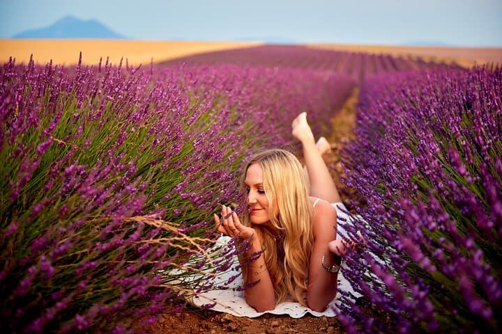 Lavender Field Photoshoot