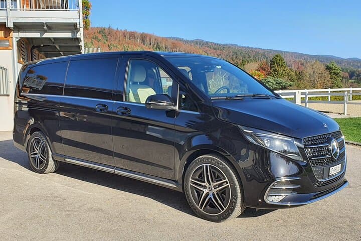Arrival Transfer BIQ Airport to Biarritz City by Minivan or SUV