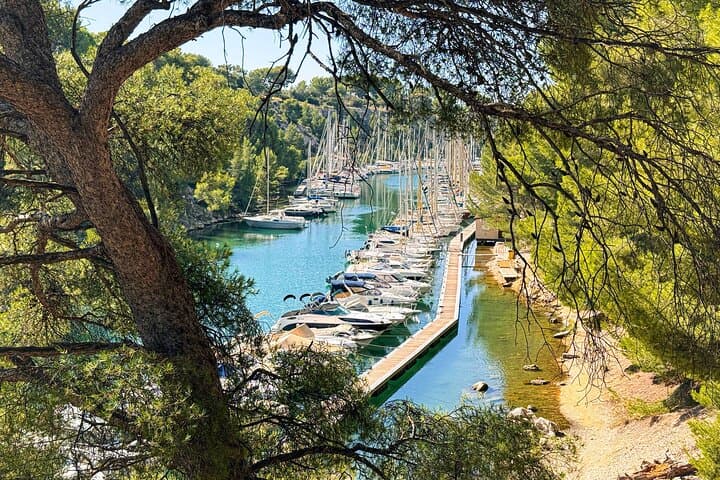 Cassis & Cap Canaille Private Coastal Tour from Marseille