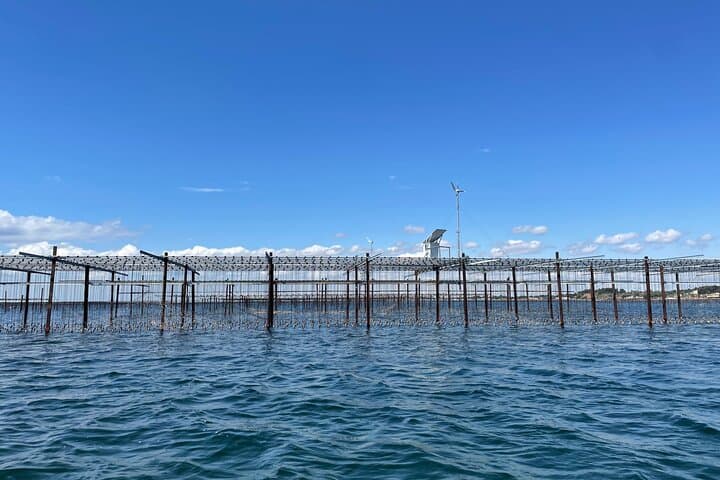 Excursion to Sète Fishing and oyster district